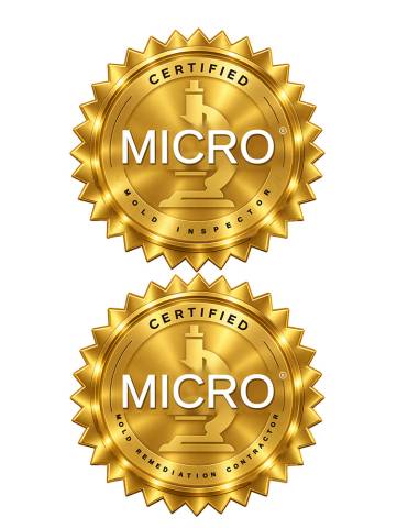 certification badge