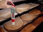 Triplett PH180 Waterproof PH Meter