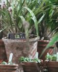 Triplett RHDL40 Temperature/ Humidity/Barometric Pressure PDF Datalogger