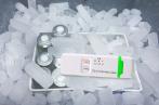 Triplett TMDL20 Single-Use USB Dry Ice Datalogger (-112°F/-80°C)