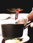 Triplett TMP10 Pocket Thermometer